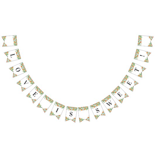 Satsuma Charcoal Main Squeeze Citrus Vrijgezellenf Vlaggetjes (Alle)