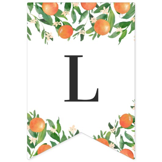 Satsuma Charcoal Main Squeeze Citrus Vrijgezellenf Vlaggetjes (Tweede vlag)