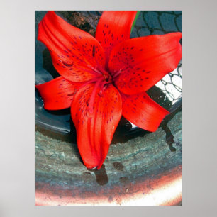 Saturnus Flow Poster