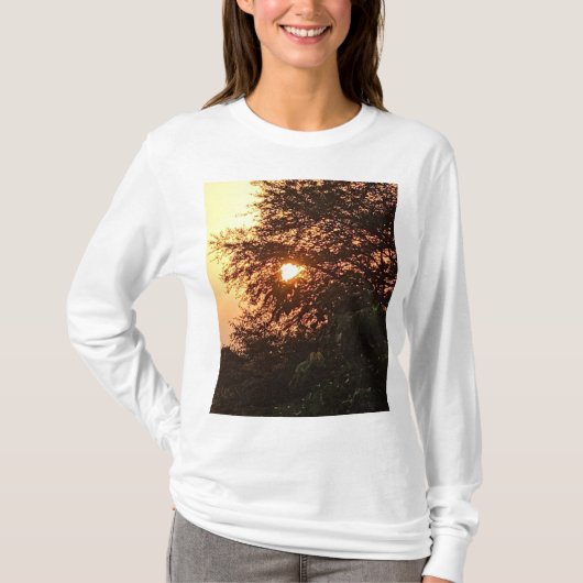 Satyam Group T-shirt (Voorkant)