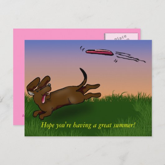 saucerhond briefkaart (Voorkant / Achterkant)