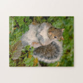 Saucy Cute Squirrel Kan je een pinda besparen? Legpuzzel (Horizontaal)