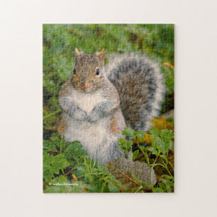 Saucy Cute Squirrel Kan je een pinda besparen? Legpuzzel