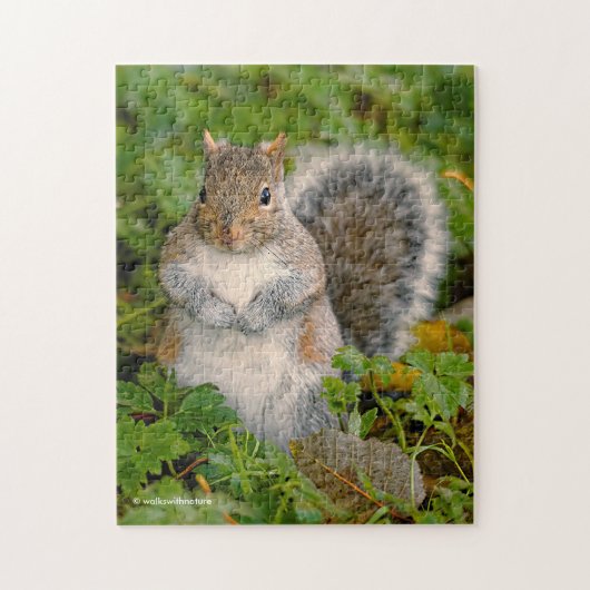 Saucy Cute Squirrel Kan je een pinda besparen? Legpuzzel (Verticaal)