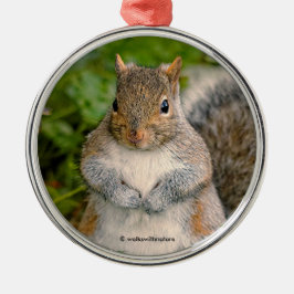 Saucy Cute Squirrel Kan je een pinda besparen? Metalen Ornament