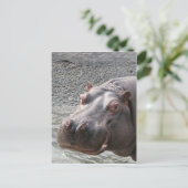 Saucy Hippo! Briefkaart (Staand voorkant)