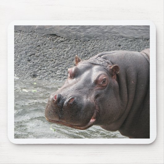 Saucy Hippo! Muismat (Voorkant)