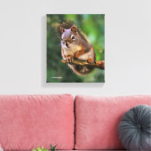 Saucy Red Squirrel in Fir Canvas Afdruk (Insitu (Woonkamer))