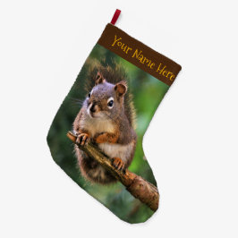 Saucy Red Squirrel in Fir Grote Kerstsok