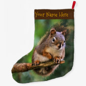 Saucy Red Squirrel in Fir Grote Kerstsok (Achterkant)