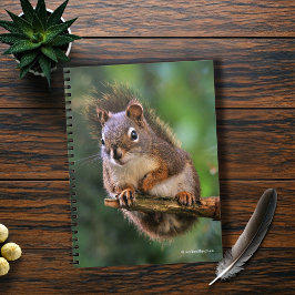 Saucy Red Squirrel in Fir Notitieboek