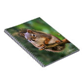 Saucy Red Squirrel in Fir Notitieboek (Rechterzijde)