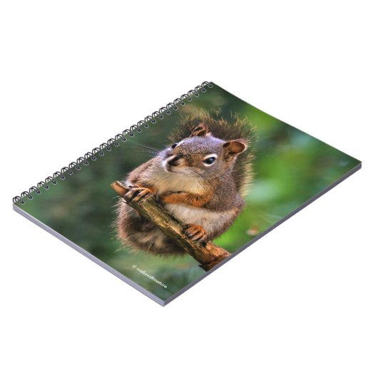 Saucy Red Squirrel in Fir Notitieboek (Linkerzijde)