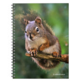 Saucy Red Squirrel in Fir Notitieboek (Voorkant)