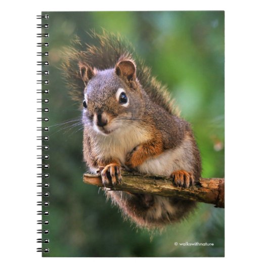 Saucy Red Squirrel in Fir Notitieboek (Voorkant)