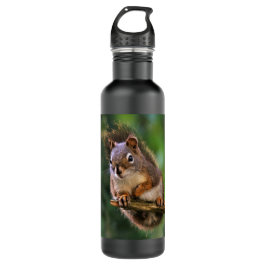Saucy Red Squirrel in Fir Waterfles