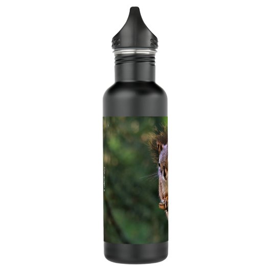 Saucy Red Squirrel in Fir Waterfles (Links)