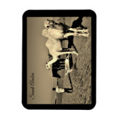 Saudi-Arabië Magneet (Verticaal)