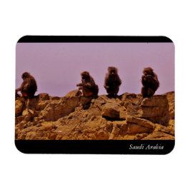 Saudi-Arabië Magneet