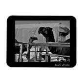 Saudi-Arabië Magneet (Horizontaal)