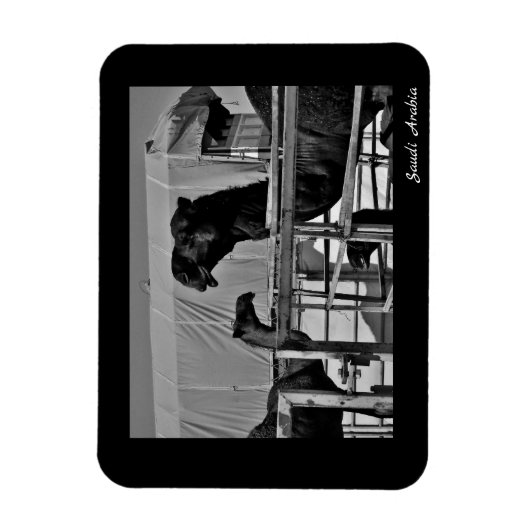 Saudi-Arabië Magneet (Verticaal)