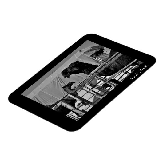 Saudi-Arabië Magneet (Linkerzijde)