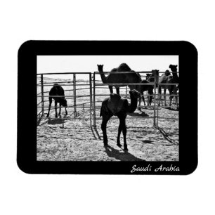 Saudi-Arabië Magneet