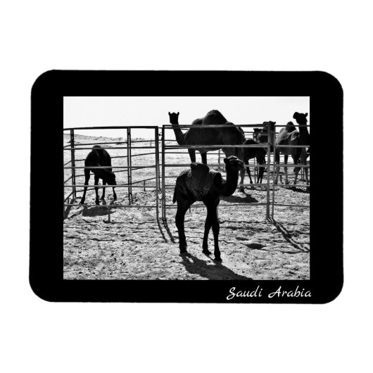 Saudi-Arabië Magneet (Horizontaal)