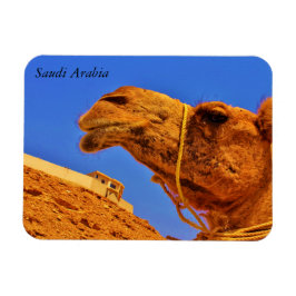 Saudi-Arabië Magneet