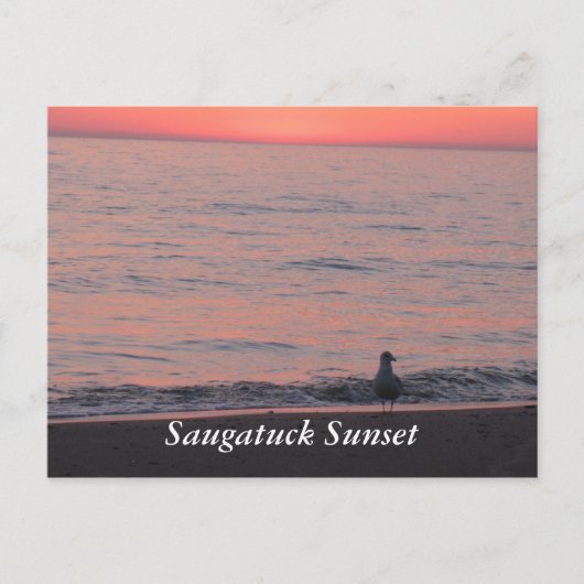 Saugatuck Sunset Briefkaart (Voorkant)