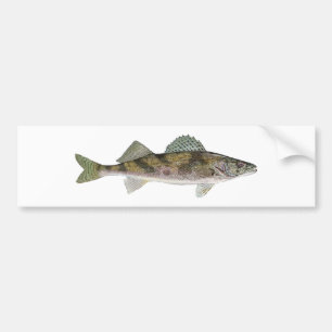 Sauger Bumpersticker