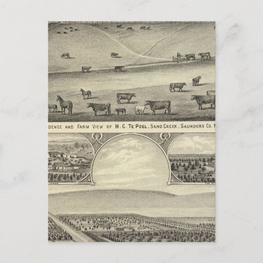 Saunders County Boerderijen, Nebraska Briefkaart (Voorkant)