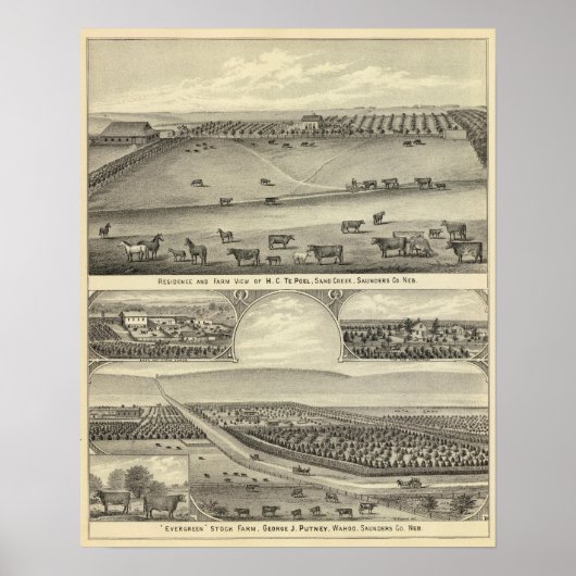 Saunders County Boerderijen, Nebraska Poster (Voorkant)