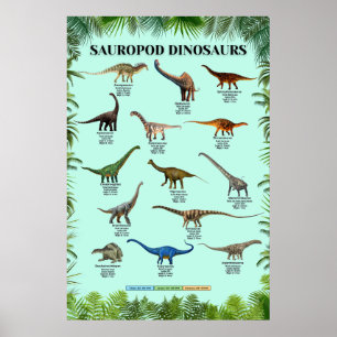 Sauropode dinosaurussen Poster