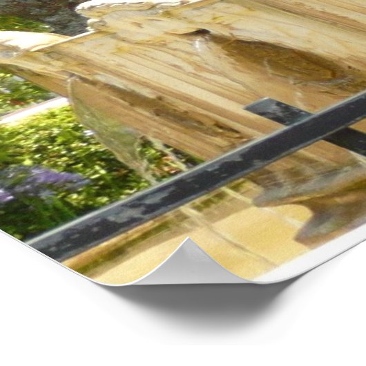 Sausalito Fountain California Travel Photography Poster (Hoek)