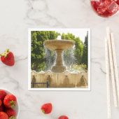 Sausalito Fountain California Travel Photography Servet (Insitu)