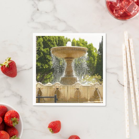 Sausalito Fountain California Travel Photography Servet (Insitu)