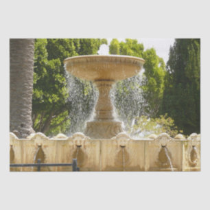 Sausalito Fountain California Travel Photography Tissuepapier