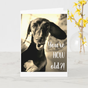 Sause Dog Birthday Card Funny Kaart