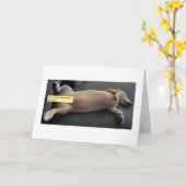 Sauvignon Blanc-Facing MillieGram Kaart (Gele Bloem)