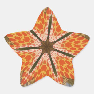 Savanna Star Bloom – Een gedurfde Afrikaanse diere Ster Sticker