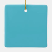 Savannah Beach Groeten Briefkaart Ornament (Achterkant)