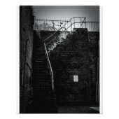 Savannah Bicycle Foto Afdruk (Voorkant)