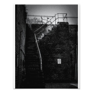 Savannah Bicycle Foto Afdruk