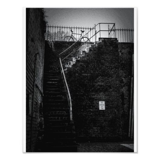 Savannah Bicycle Foto Afdruk (Voorkant)