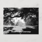 Savannah Briefkaart (Voorkant)