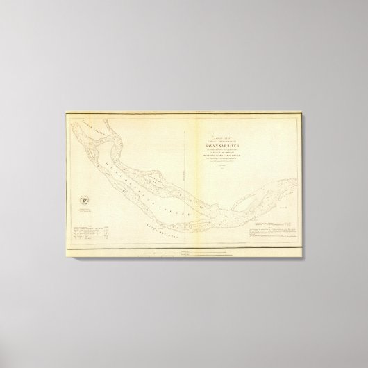 Savannah Canvas Afdruk (Voorkant)