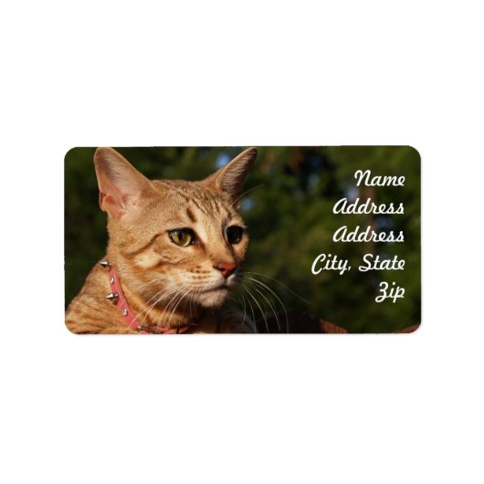 Savannah Cat Address Sticker (Voorkant)