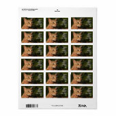 Savannah Cat Address Sticker (Full Sheet)