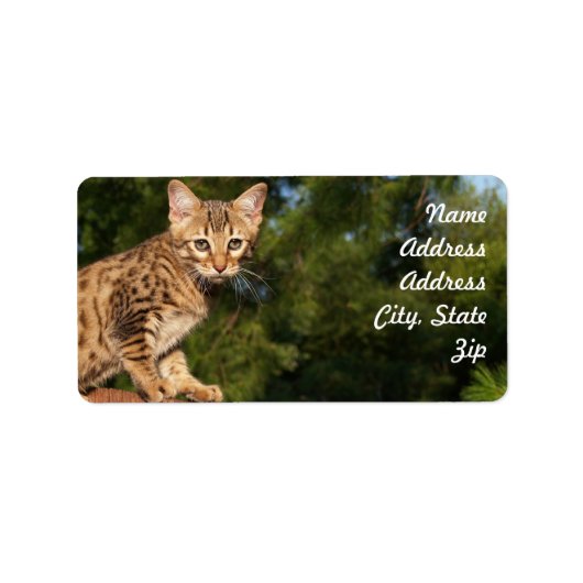 Savannah Cat Address Sticker (Voorkant)